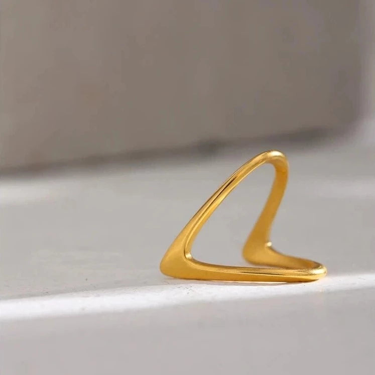 Anello V-Ring