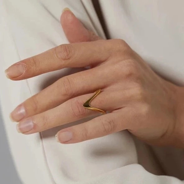 Anello V-Ring