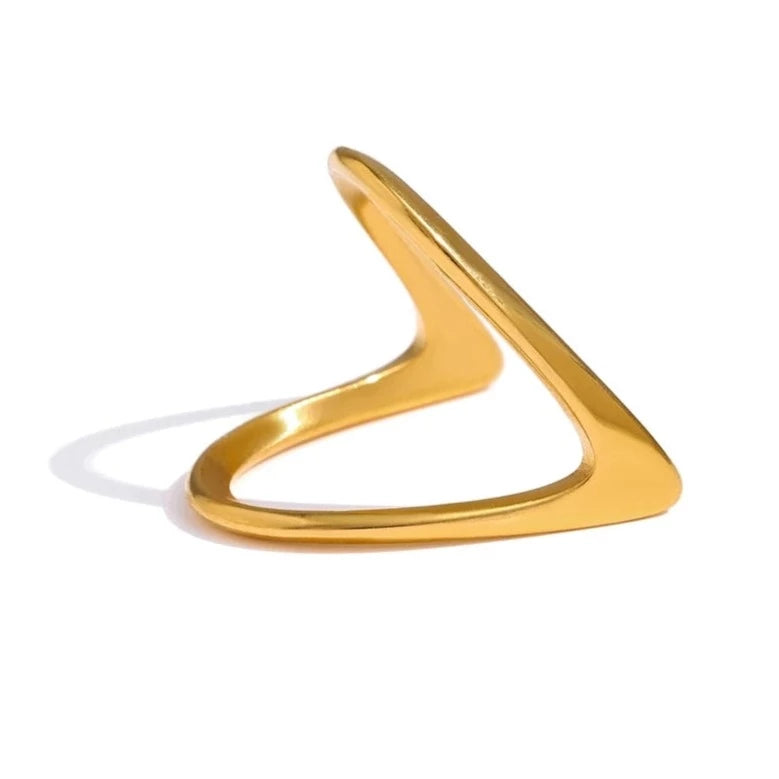 Anello V-Ring