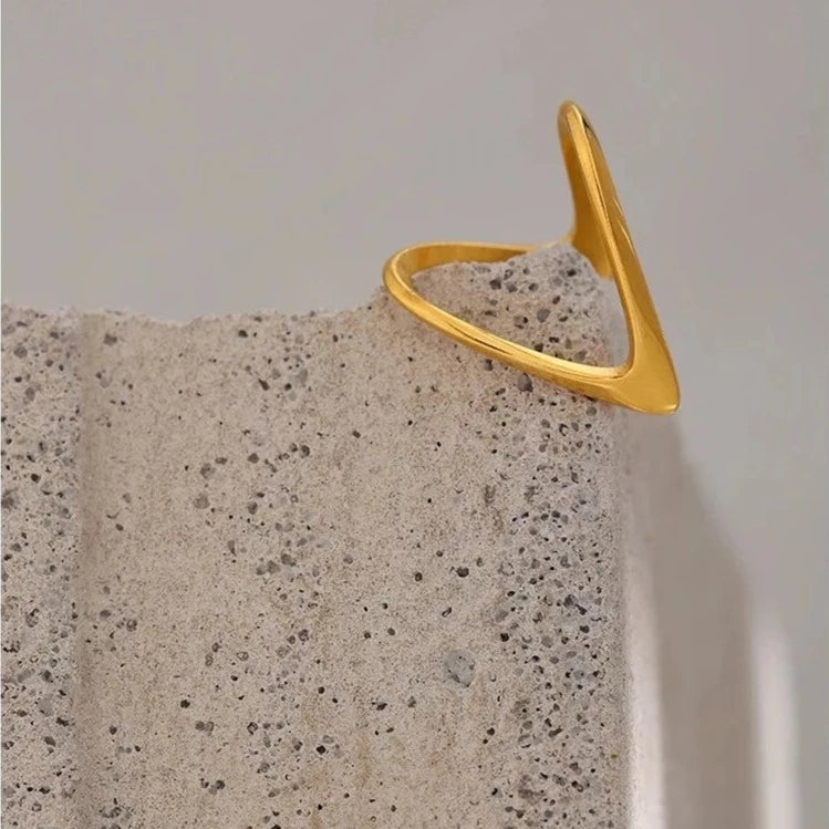 Anello V-Ring
